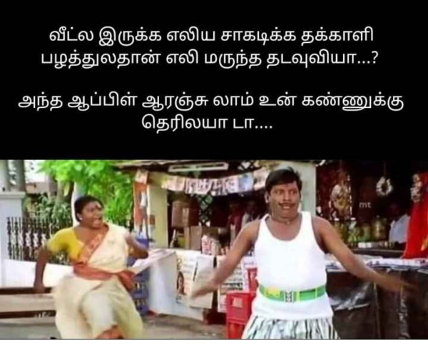 Funny memes collection on high tomato price 01082023