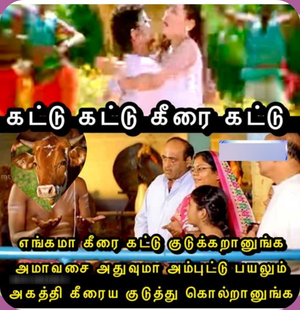 Adi amavasai: Funny memes collections on aadi amavasai 16-08-2023