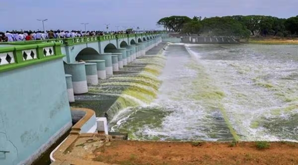  NTCA warns that Mekedatu dam project could pose threat to Cauvery Wildlife Sanctuary