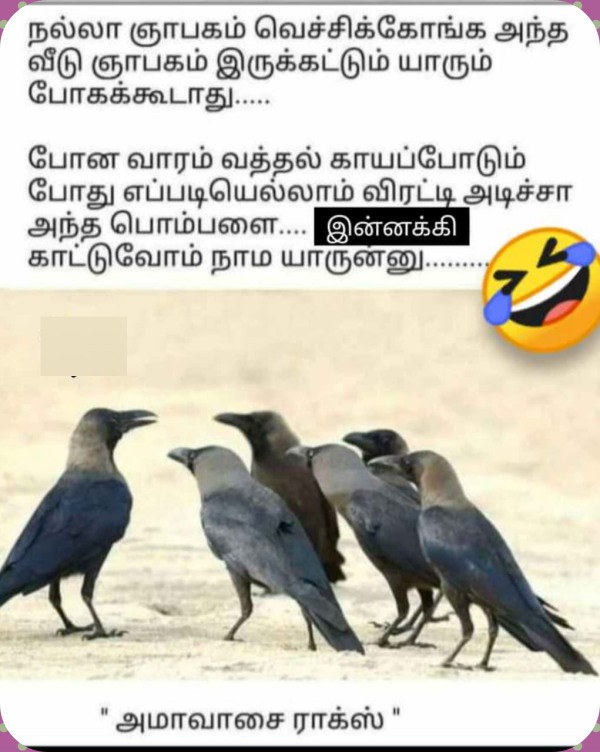 Adi amavasai: Funny memes collections on aadi amavasai 16-08-2023
