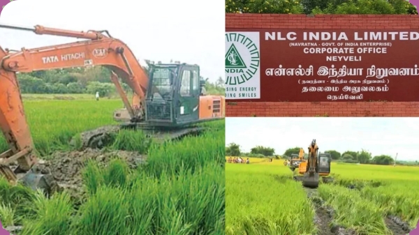 Anbumani Ramadoss says that it is injustice that NLC gives employment for north indians Anbumani Ramadoss says that it is injustice that NLC gives employment for north indians