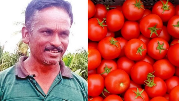 A farmer has returned home happy after selling tomatoes for Rs 1.5 lakh in a single day at Tirupur 