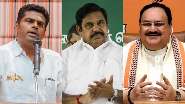 Did Annamalai stop his Yatra in Tamil Nadu? What did Delhi BJP say to him? 