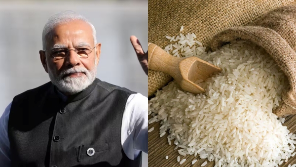 India export ban on rice: World rice price index jumps to new high, 12-year high in July India export ban on rice: World rice price index jumps to new high, 12-year high in July