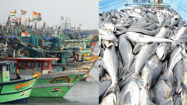 TN Govt has issued an ordinance increasing the amount of relief during fishing ban from Rs.5,000 to Rs.8,000 