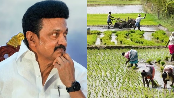 Tamil Nadu farmers to get Incentives with Source price- CM Stalin announced 