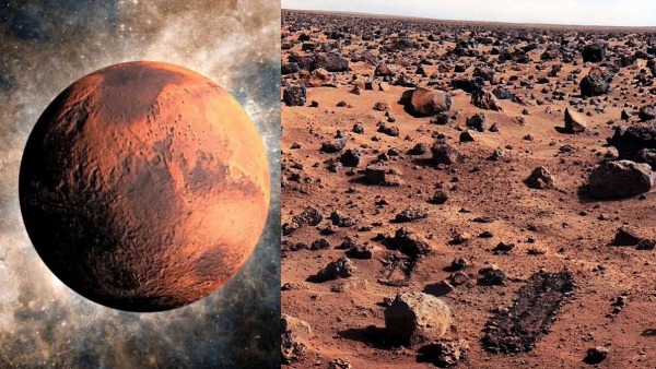 A scientist says that humans found life on Mars 50 years ago, and then vanished it accidentally 