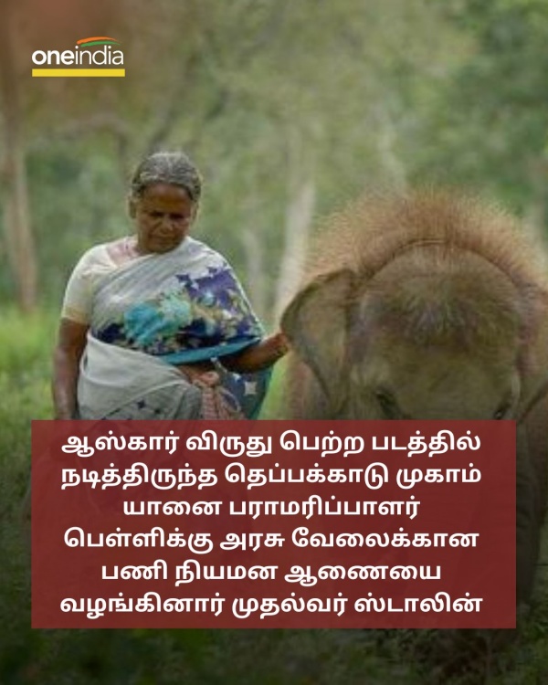 Tamil Nadu Govt job for Theppakadu Elephant Camp keeper Bellie Tamil Nadu Govt job for Theppakadu Elephant Camp keeper Bellie