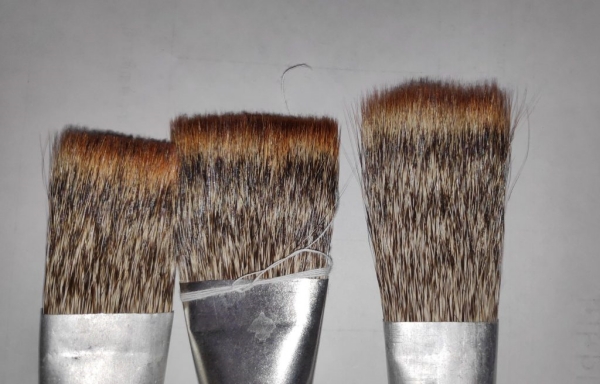 Thousands of mongoose killed for making painting brushes: Supriya sahu ias post 