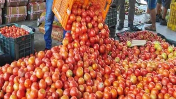 Tomatoe price has no changes at Koyambed Market in Chennai and other vegetables price details here 