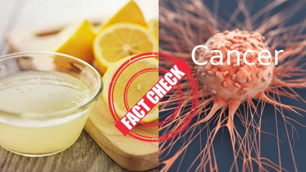 FACT CHECK Will lemon and coconut oil stops various cancer