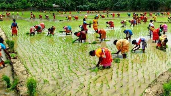 TN Governor approves tamilnadu land consolidation act: What is this act?