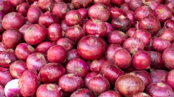 Onion prices hike to around Rupees 60-70 per kg next month due to tightened supplies says Crisil report Onion prices hike to around Rupees 60-70 per kg next month due to tightened supplies says Crisil report