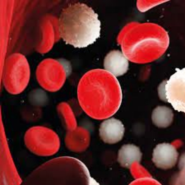 Do you know Health Benefits of Pumpkin Seeds and pumpkin seeds are the Best Seeds for Weight Loss Do you know Health Benefits of Pumpkin Seeds and pumpkin seeds are the Best Seeds for Weight Loss