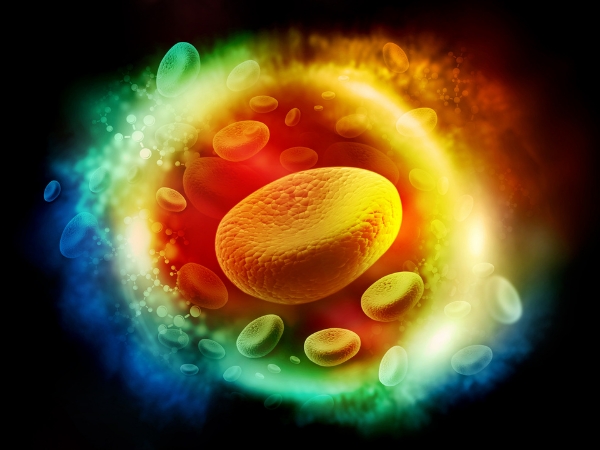 Do you know about Carrot and what are the Medicinal Benefits in the Carrot Juice Do you know about Carrot and what are the Medicinal Benefits in the Carrot Juice