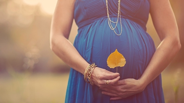 Madras High Court dismissed the plea of seeking maternity leave for the third delivery