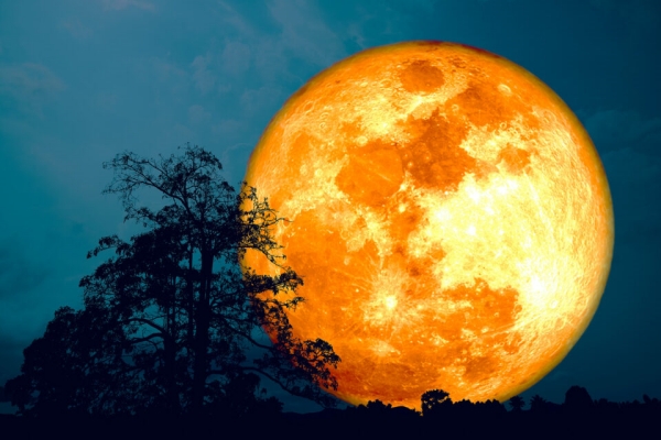Do you know whats Super Blue Moon and Why is this super moon special today 