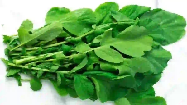 Do you Know Radish Keerai is the Excellent Best Medicine and Super Health Benefits of Radish Spinach 