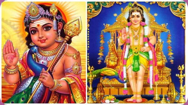 Aadi Karthigai 2023: Karthigai viratham benefits for Lord Murugan Aadi Karthigai 2023: Karthigai viratham benefits for Lord Murugan