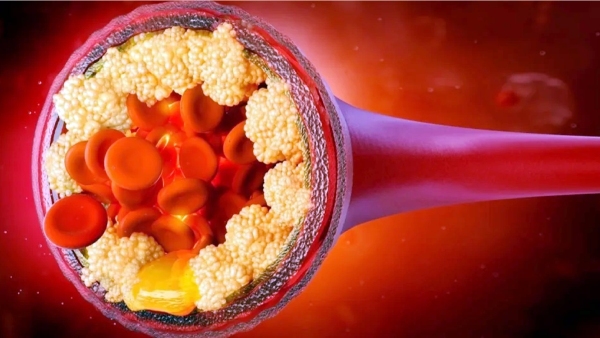 Do you know which Herbs for Weight Loss and What are the Health Medicines in the Bottle Gourd