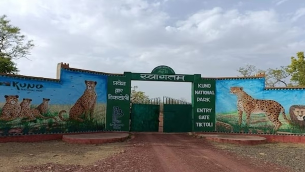 The Supreme Court is satisfied with the central government over the death of a cheetah in Kuno National Park 