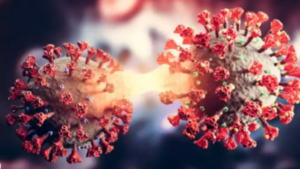  Should we need to worry as New Corona variant Eris is spreading across the world