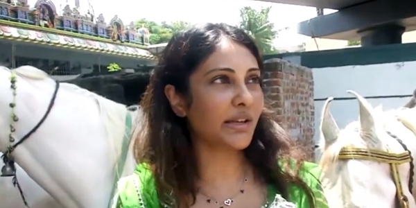 Why did Krithika Udayanidhi inaugurated the event to microchip Chennai horses? 