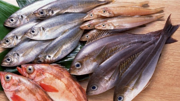 Health Benefits of Fish and Do you know Do you know which fish contain Mercury