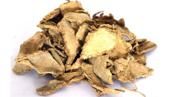 Do you know about Poolangizhangu and White Turmeric is the Excellent Medicine for all 