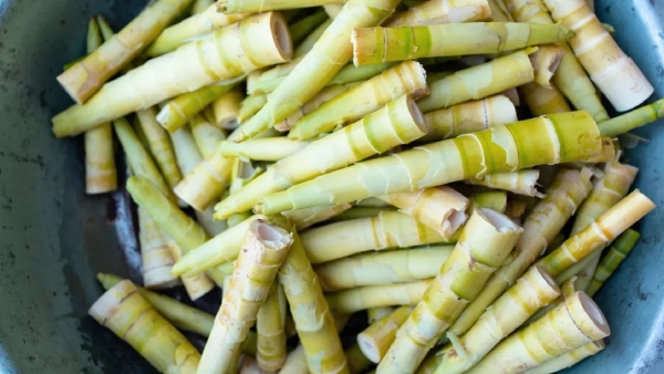 Do you know the health benefits of Bamboo shoots (Moongil Kuruththu)? 