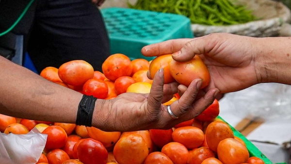 Tomato per kg Rs 40 is being sold in Koyambedu market 