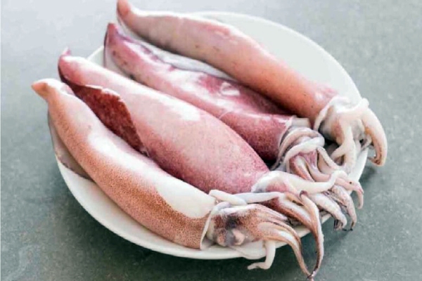 Do you Know what are the Health Benefits in Kanavai Meen and Amazing Medicine in the Squid Fish