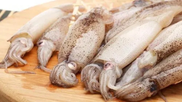 Do you Know what are the Health Benefits in Kanavai Meen and Amazing Medicine in the Squid Fish
