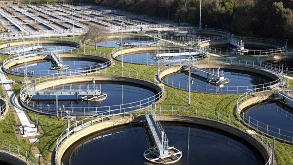 Pasumai Thayagam said water is to be privatized in Chennai 