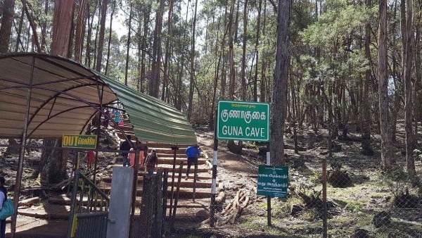 Forest department Permits to go to touristers kodaikanal pine forests and Guna cave 