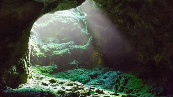 Forest department Permits to go to touristers kodaikanal pine forests and Guna cave 