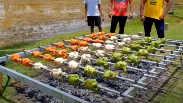  Police complaint against YouTuber who made grilled chicken in national flag colour 