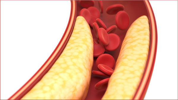 Health Benefits of Coriander Seeds and what are the Amazing Uses of Coriander Seeds