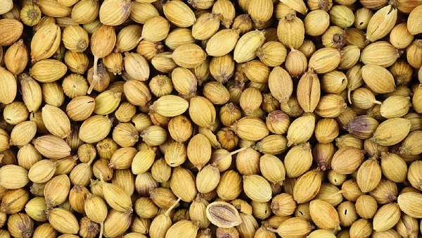 Health Benefits of Coriander Seeds and what are the Amazing Uses of Coriander Seeds