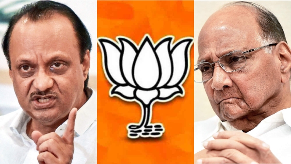 Ajit pawar said NCP will alliance with BJP and Shivsena in lok sabha election 2024 