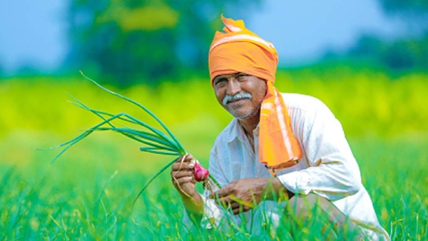 Invitation to TN Farmers to get agricultural electricity connection under Tatkal special scheme 