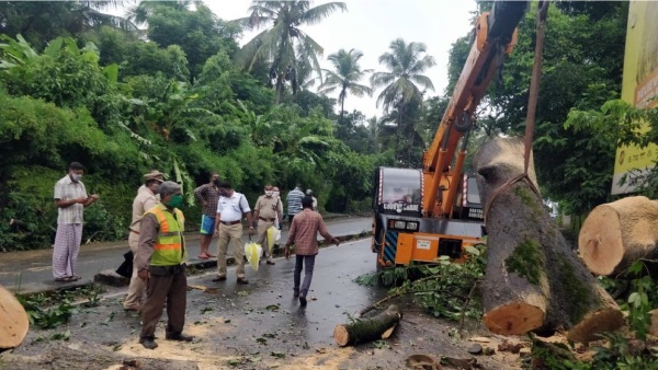 Student died when tree broke down during heavy rain near kumbakonam Student died when tree broke down during heavy rain near kumbakonam