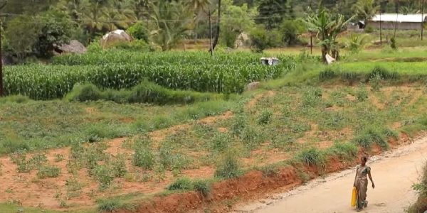  After 80 years Palamalai village get road facility due to CM Stalins efforts