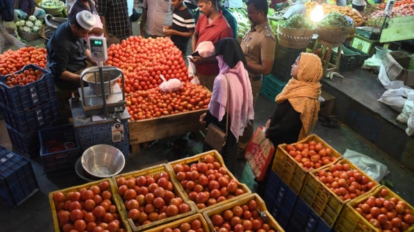 Do you know the price of tomato in Chennai Koyambedu market? Do you know the price of tomato in Chennai Koyambedu market?