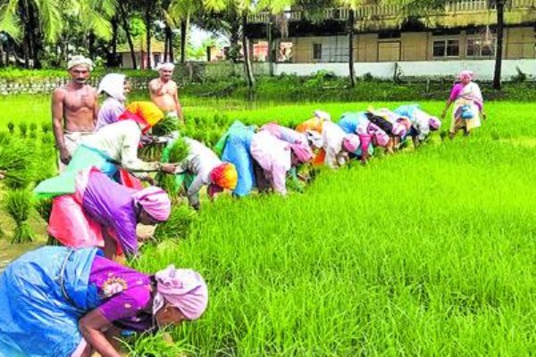 Mettur dam water level falls to 62 feet Delta farmers are worried Mettur dam water level falls to 62 feet Delta farmers are worried
