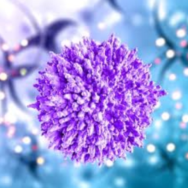 Health Super benefits of Fenugreek Seeds and do you know Fenugreek Seed is the Best Health Tips for weight loss