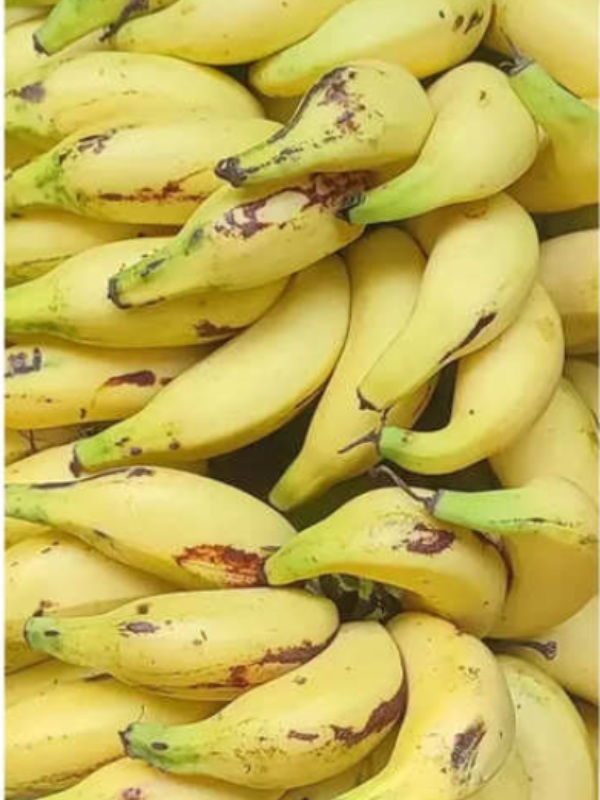 Health Benefits of Matti Banana Do you know Kanniyakumari Matti Bananas are the Excellent food for the Children Health Benefits of Matti Banana Do you know Kanniyakumari Matti Bananas are the Excellent food for the Children