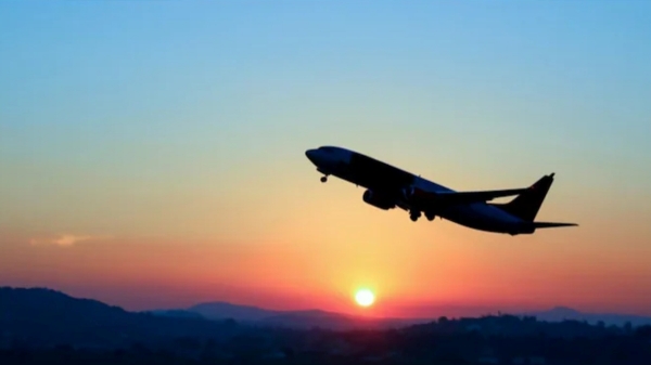 pilot allegedly became agitated draws penis in sky after flight diversion 
