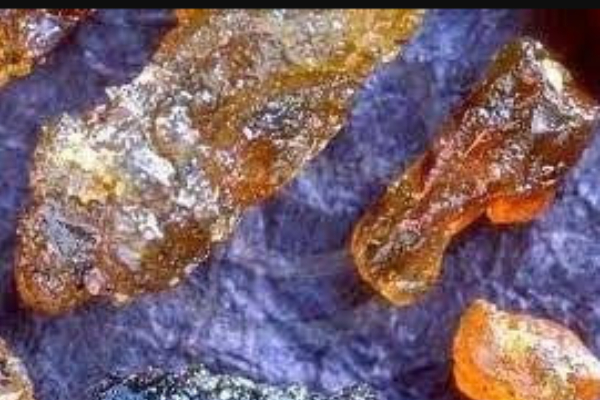 Health Benefits of Drumstick Resin Do you know Drumstick Resin is the Fantastic Medicine