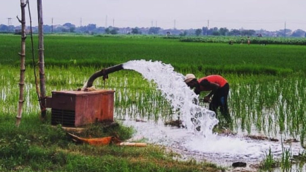 Chief Minister Yogi Adityanath assured that free electricity scheme for irrigation will be implemented soon 